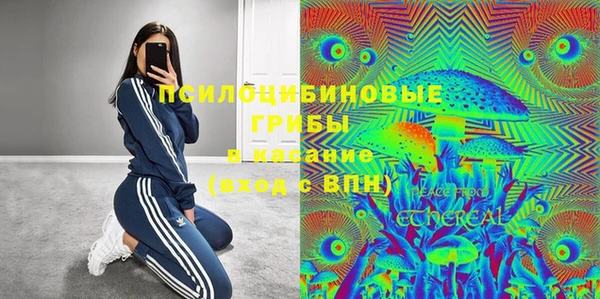 экстази Алексин