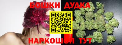 прущие крисы Ставрополь