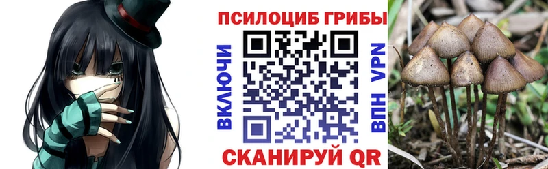 Псилоцибиновые грибы Psilocybine cubensis  Сорочинск 