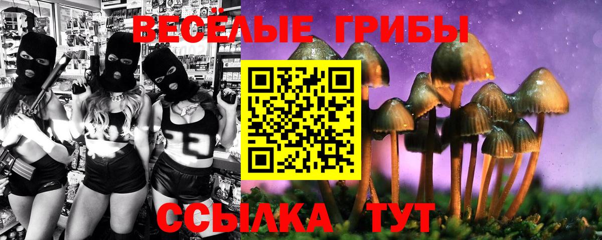 Псилоцибиновые грибы Magic Shrooms Сорочинск