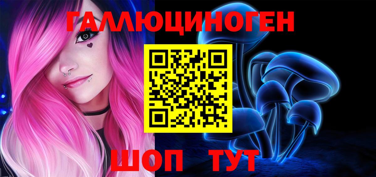 Сорочинск  наркотики  Вход с VPN  Псилоцибиновые грибы Psilocybine cubensis 